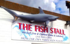 fresh fish delivered – opening hours